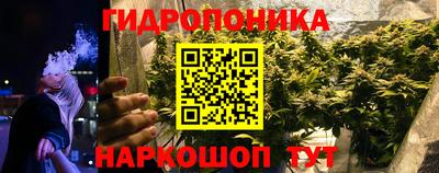 молекула духа Бийск