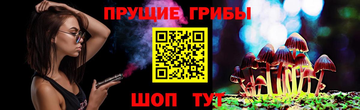 Псилоцибиновые грибы прущие грибы  где купить наркоту  Бузулук  Вход с VPN 